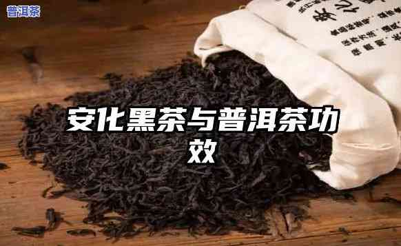 比较历史：安化黑茶与普洱茶，谁的历史更悠久？