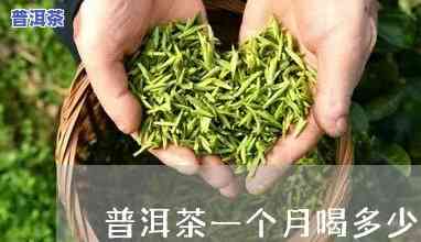 普洱茶一个月的用量-普洱茶一个月的用量是多少