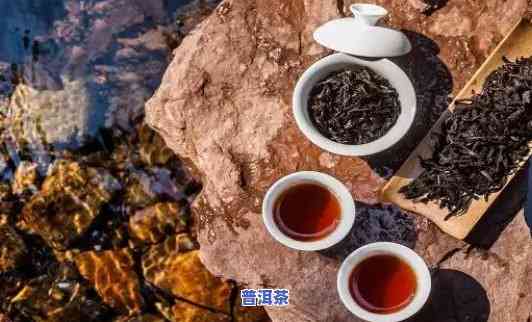 岩茶为什么看不起普洱茶的味道-岩茶为什么看不起普洱茶的味道呢