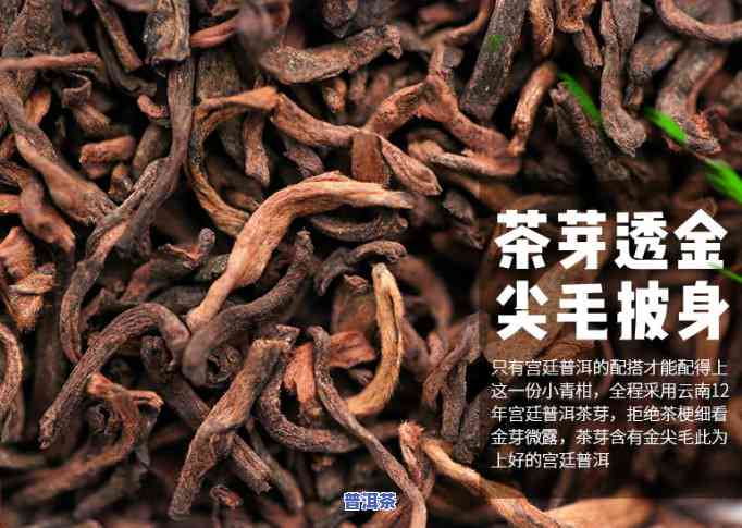 陈皮普洱茶多少钱一盒，探寻陈皮普洱茶的价格，一盒多少钱？