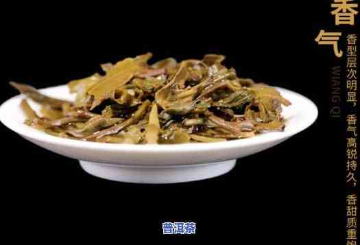 岩茶为什么看不起普洱茶的香气？——探讨茶叶香型差异与审美观