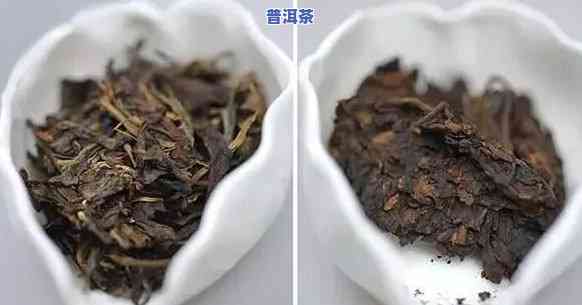 刮油效果：普洱茶生茶与熟茶哪个更好？