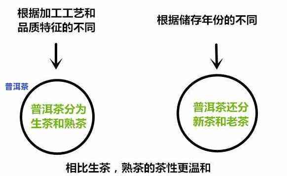 普洱茶转温性的环节-普洱茶转温性的环节是什么