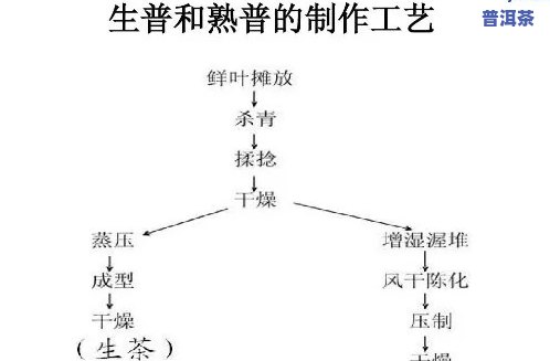 普洱茶转温性的环节-普洱茶转温性的环节是什么