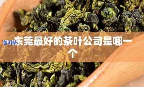 东莞普洱茶代理公司地址，寻找优质普洱茶？来东莞普洱茶代理公司，熟悉更多地址信息！