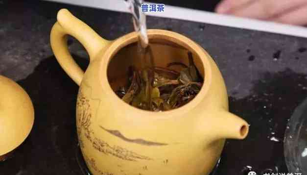 用紫砂壶泡普洱茶：有何讲究？详解视频与图片