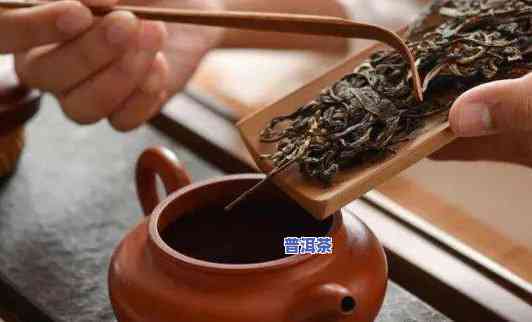 怎样用紫砂壶冲泡普洱茶：步骤、技巧与留意事项