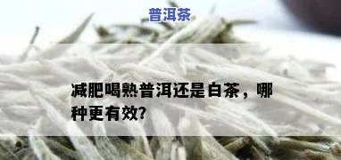 喝白茶减肥还是喝普洱茶减肥好-喝白茶减肥还是喝普洱茶减肥好呢