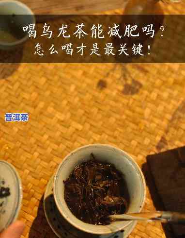 减肥：乌龙茶 vs 普洱茶，哪种更有效？