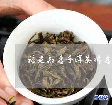 福建普洱茶排行榜：前十名一览