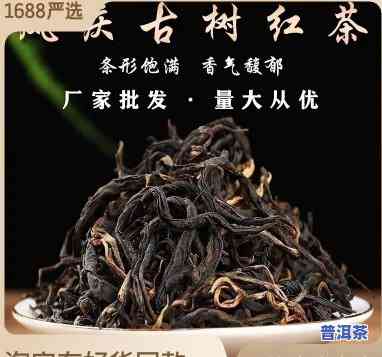 凤庆古树滇红春茶价格，【凤庆古树滇红茶】2023新茶上市 春茶热卖中！超值优惠等你来！