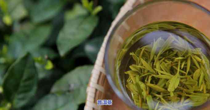 普洱茶能否刮油脂？效果怎样？