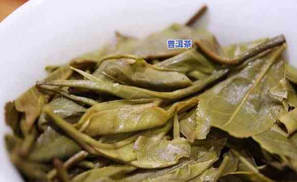 普洱茶的原料到底是什么，探究普洱茶的原料：揭开其神秘面纱