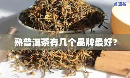 京东普洱茶哪个牌子好？口感、品质全面比较！