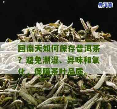 视频潮湿天普洱茶怎样防潮储存-普洱茶怎样防潮