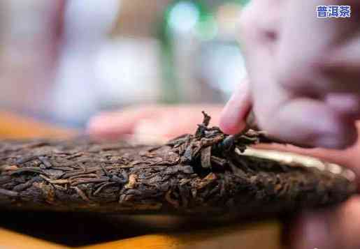 视频潮湿天普洱茶怎样防潮储存-普洱茶怎样防潮