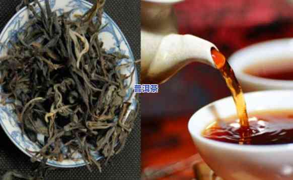 哪一种普洱茶刮油减肥效果更好-哪一种普洱茶刮油减肥效果更好呢