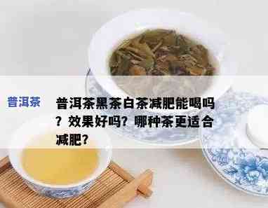 白茶和普洱茶哪个减肥效果好，白茶VS普洱茶：哪种茶叶的减肥效果更出色？